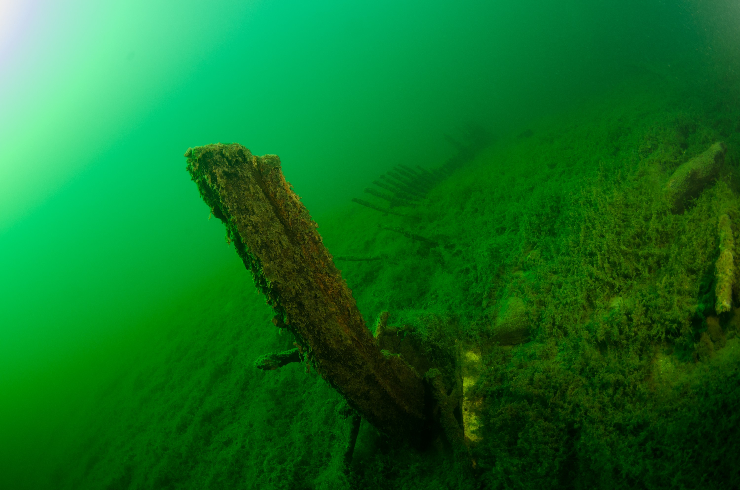 DSC_2863 – Crispin, nz, new, zealand, new zealand, freshwater, lakes, Waikaremoana, whaling, boat, wreck, 1869, secret, hard to find, history, maori, war,